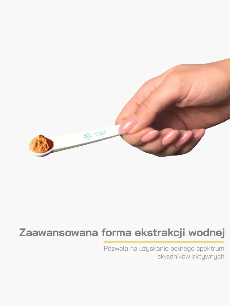 cordyceps_ekstrakcja_grafika_converted