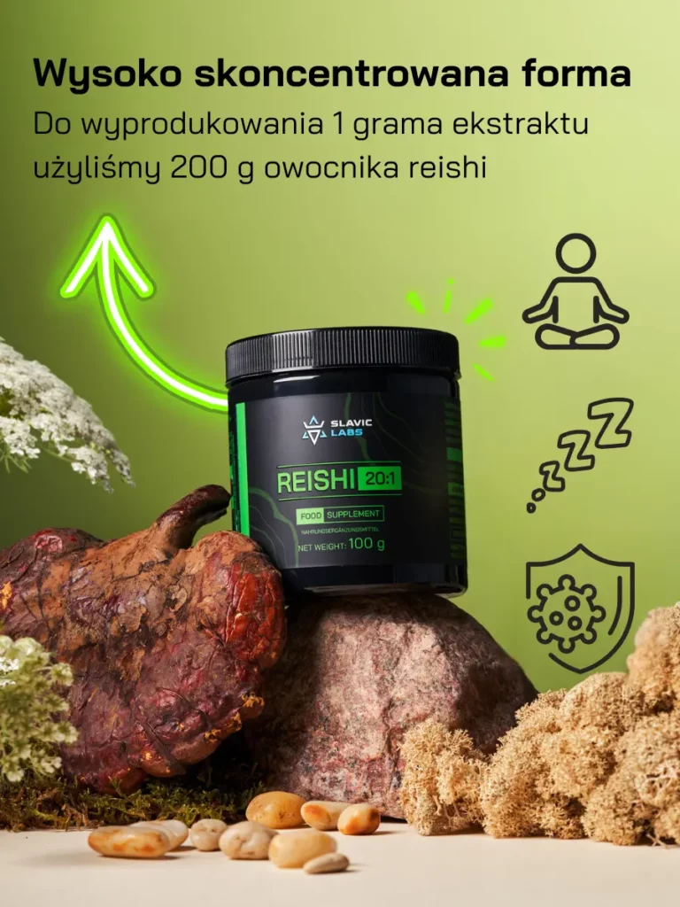 reishi wysokie stężenie