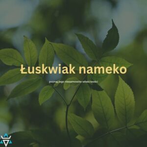 łuskwiak nameko