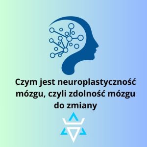 Neuroplastyczność