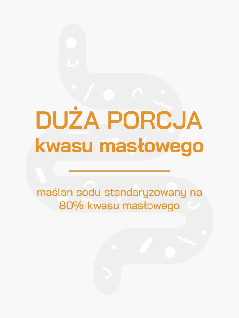 maslan_sodu_slavic_labs_grafika1_converted