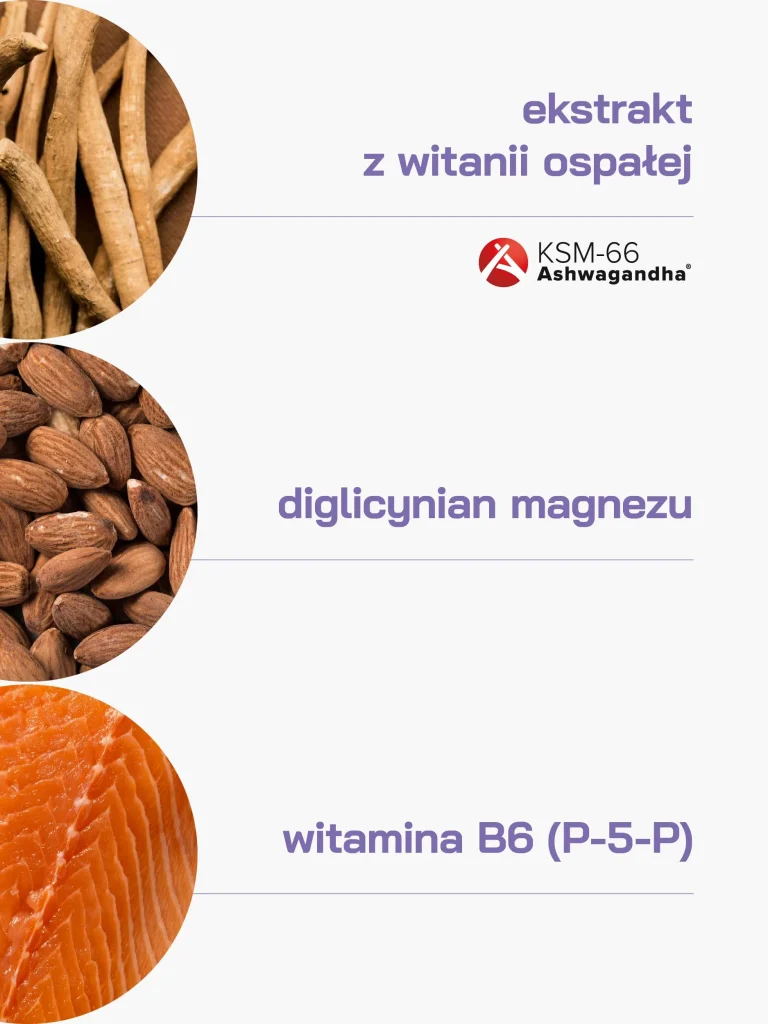 ashwamag_slavic_labs_grafika-01_converted