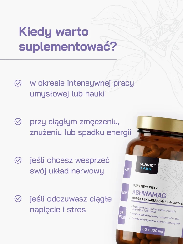 ashwamag_slavic_labs_grafika-02_converted